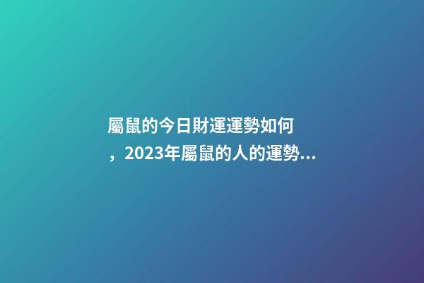 屬鼠的今日財運運勢如何，2023年屬鼠的人的運勢指南-事業有成
